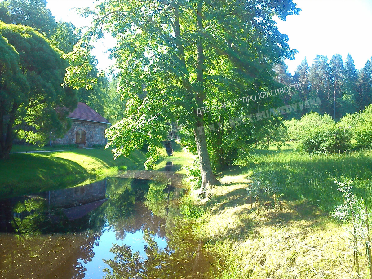 Село Михайловское природа