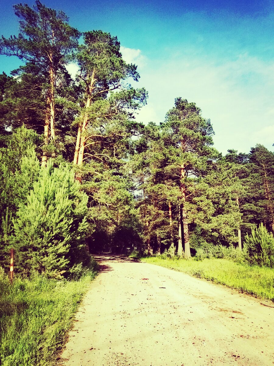 Желание? Мечта? Цель! 