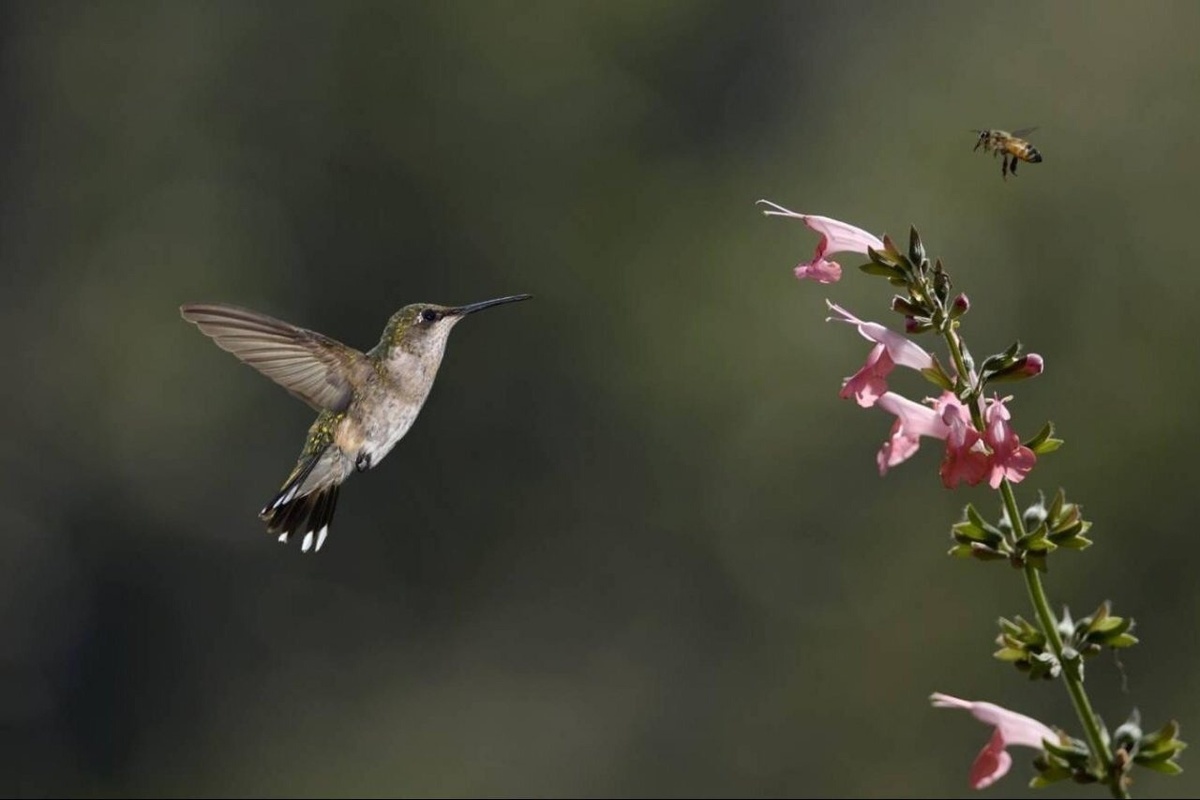 Взято из открытого источника Яндекс.Картинки