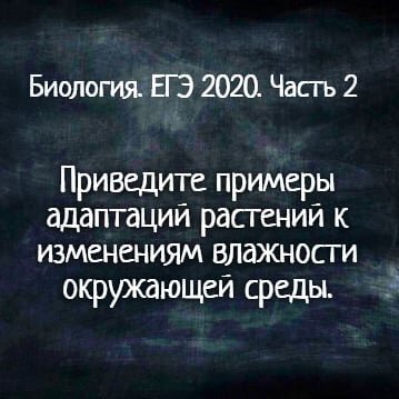 подписывайся, следи за разборами и готовься со мной к ЕГЭ