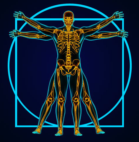 Наши современники чуть больше идеальных пропорций да Винчи