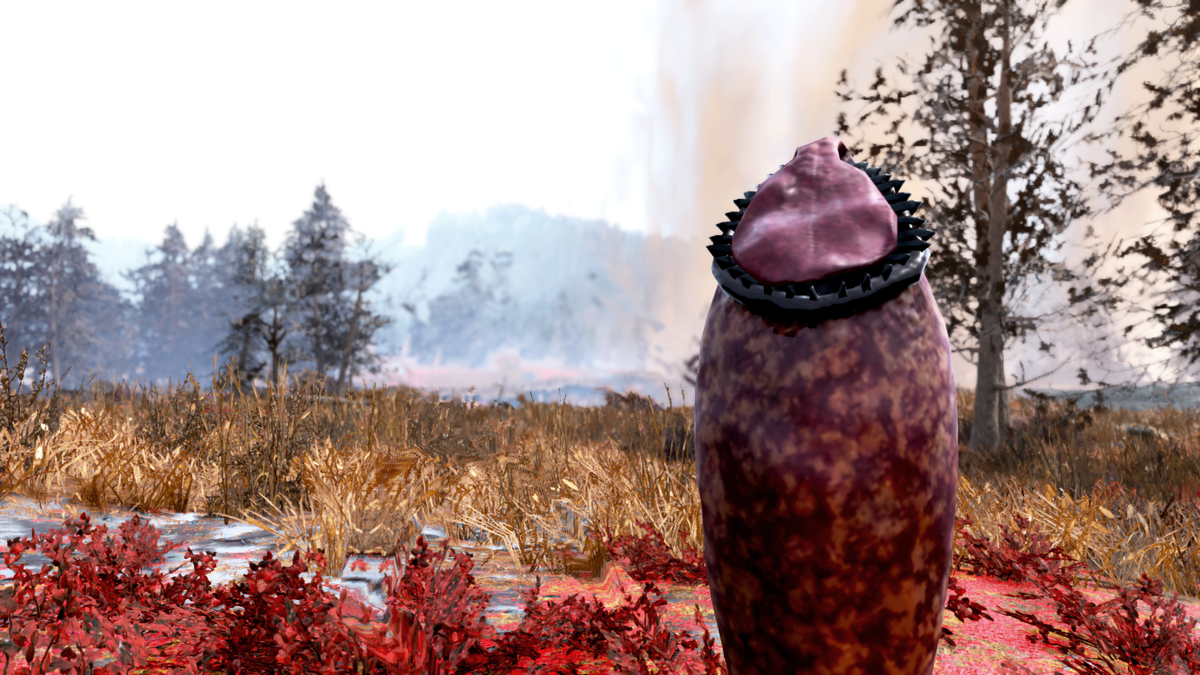 Гиганский хищнолист