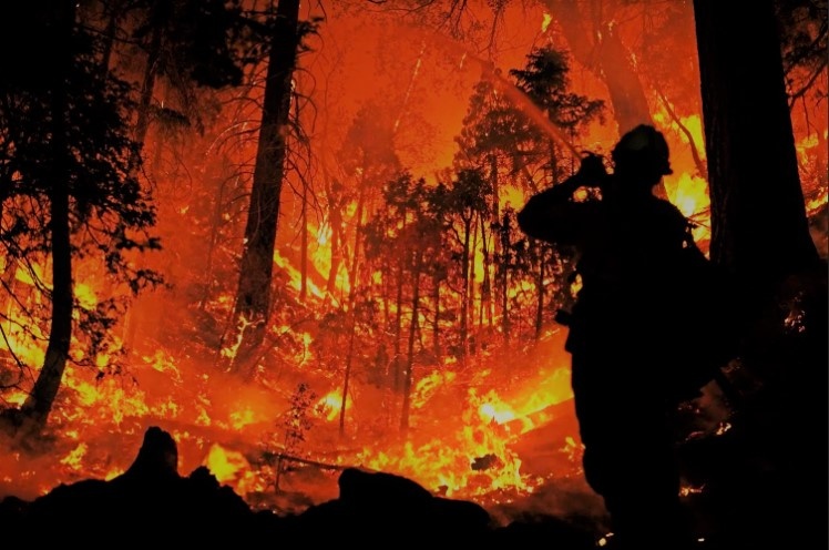 Лесные пожары очень страшные, особенно если это выглядит так.