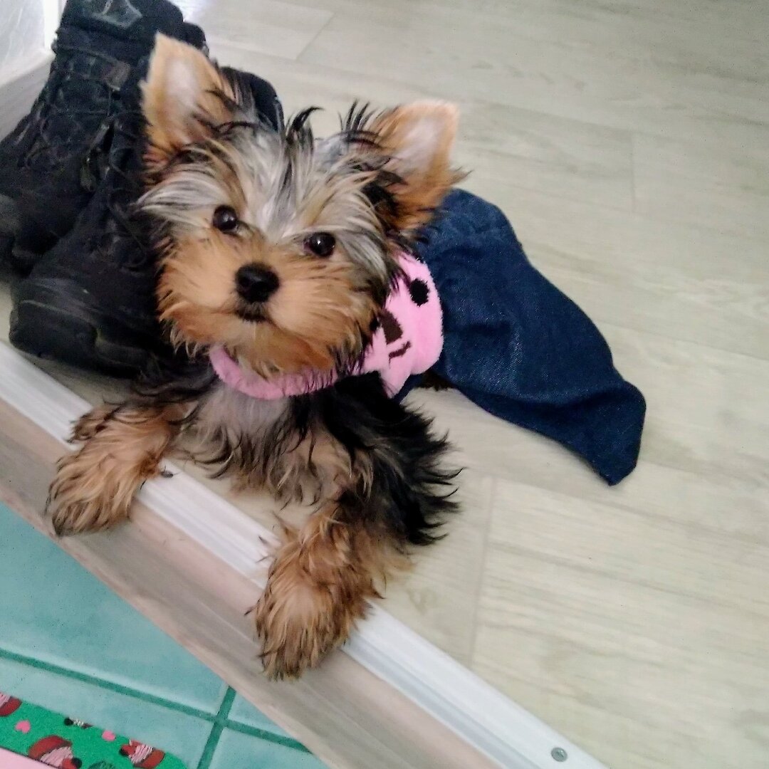 фото автора