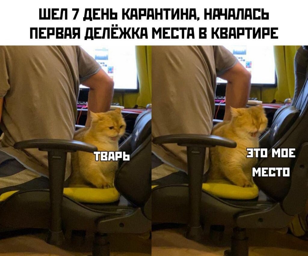 Карантин картинки прикольные