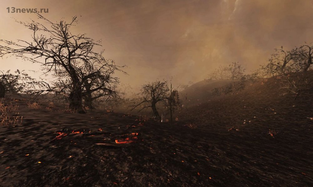 Мертвый лес и гарь земли.