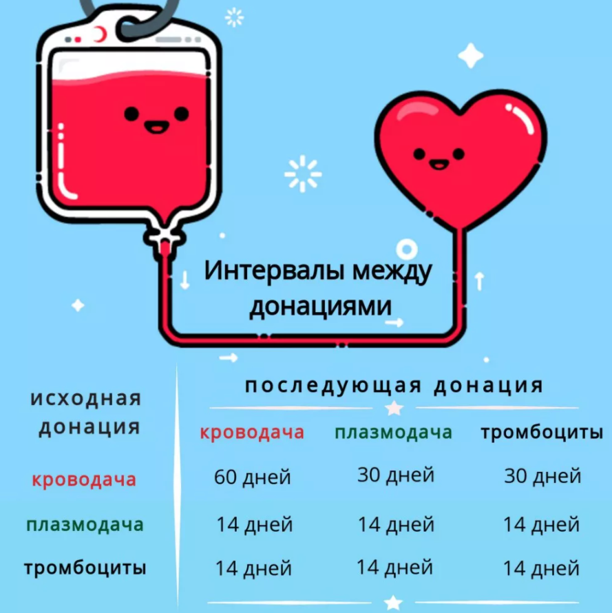За сколько можно сдать. Как часто сдавать кровь. Интервалы сдачи крови. Интервалы между донациями крови. Промежутки между сдачей крови
