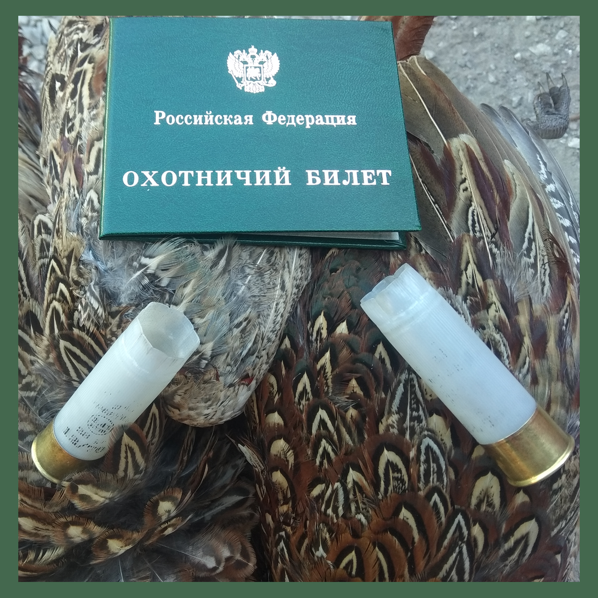 Композиционное фото. Разложили что-то в кадре - и вот оно уже не шок-контент, а вполне себе подходит, хоть и Инстаграм выкладывай. Я, собсна, и выложил:)