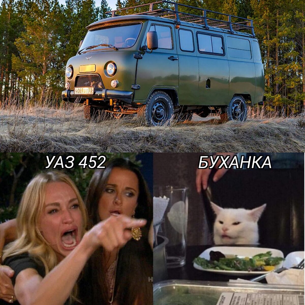 Кот в машине Мем