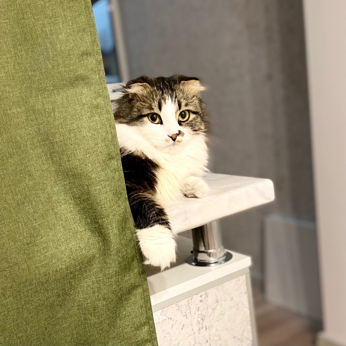 Кто рэкетир? Я?