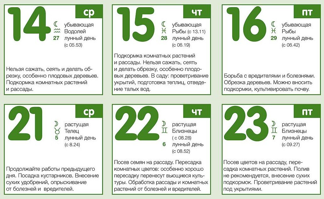 Бредок. (скриншот автора с календаря в сети)