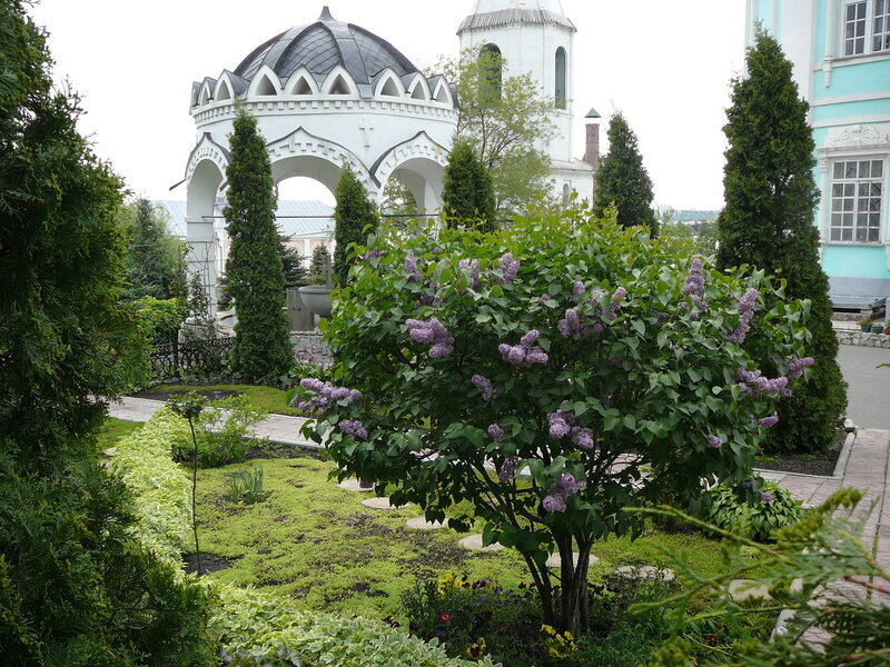 Алексеево акатов монастырь фото