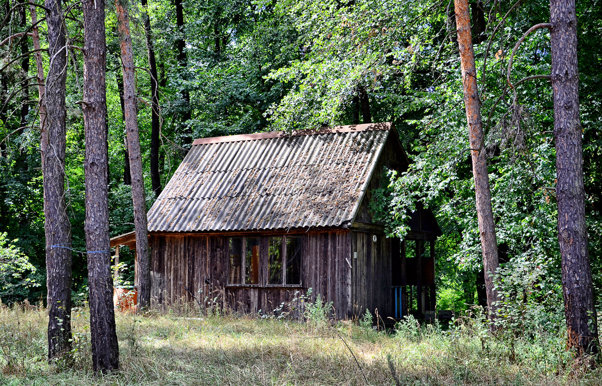 Дом в лесу