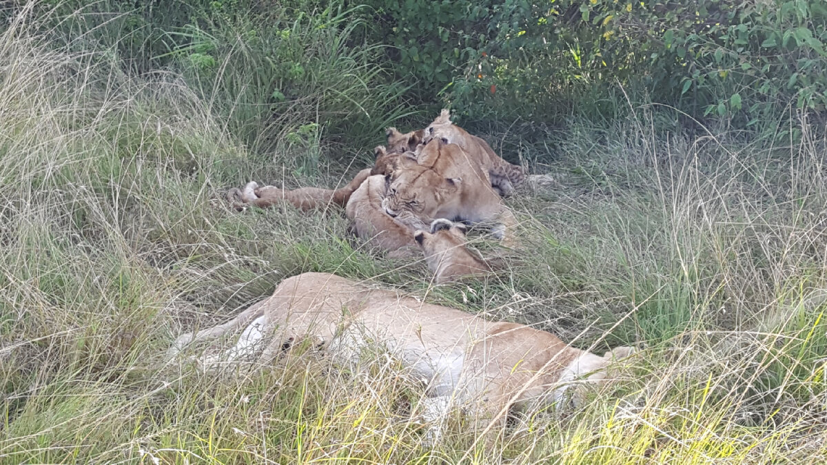 Фото из личного архива