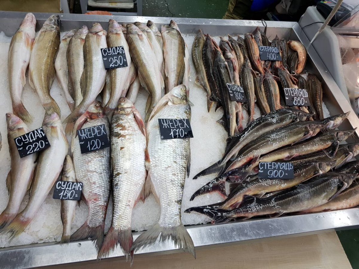 Свежая рыба на рынке