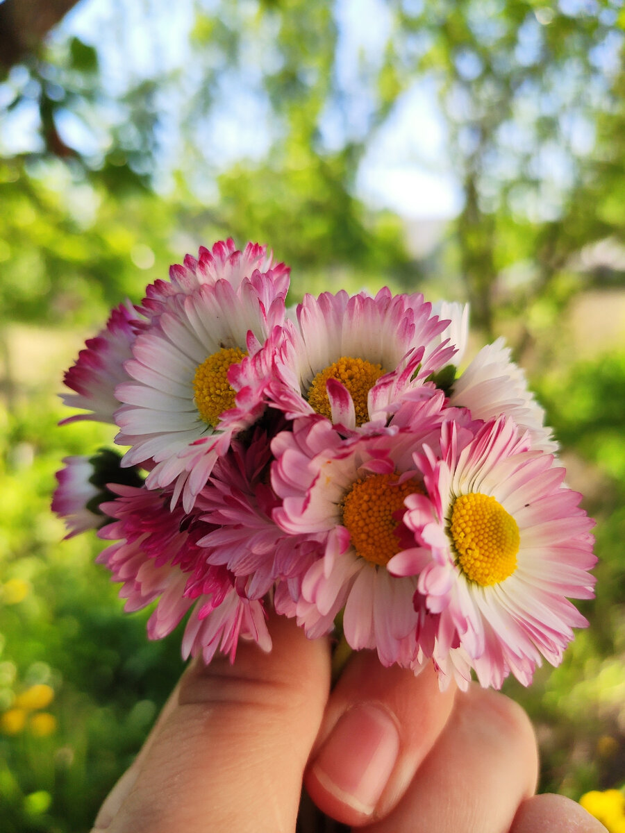 Букетик от любимой доченьки 💕