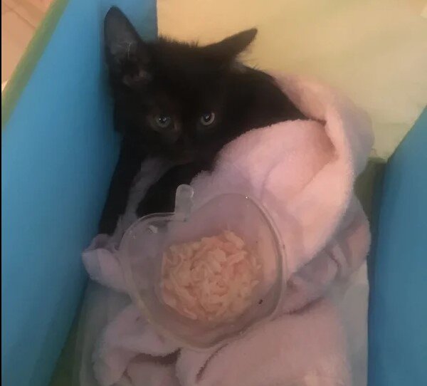 Только пришли домой и помылись