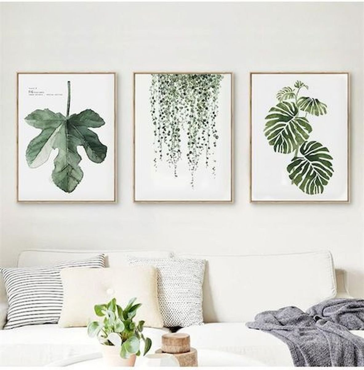 Фото взято из открытых источников