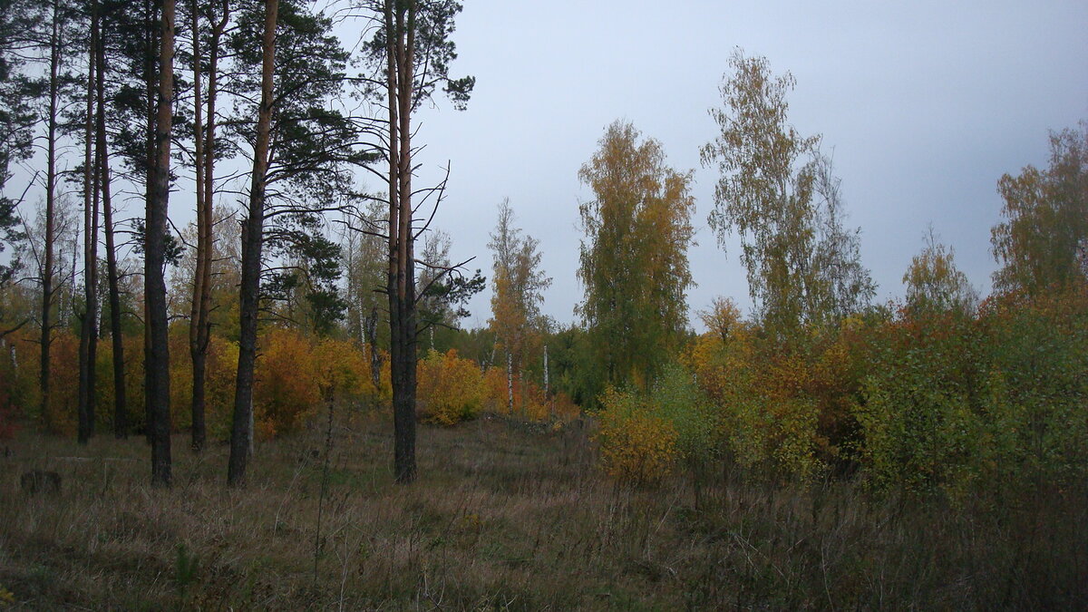 Классное место