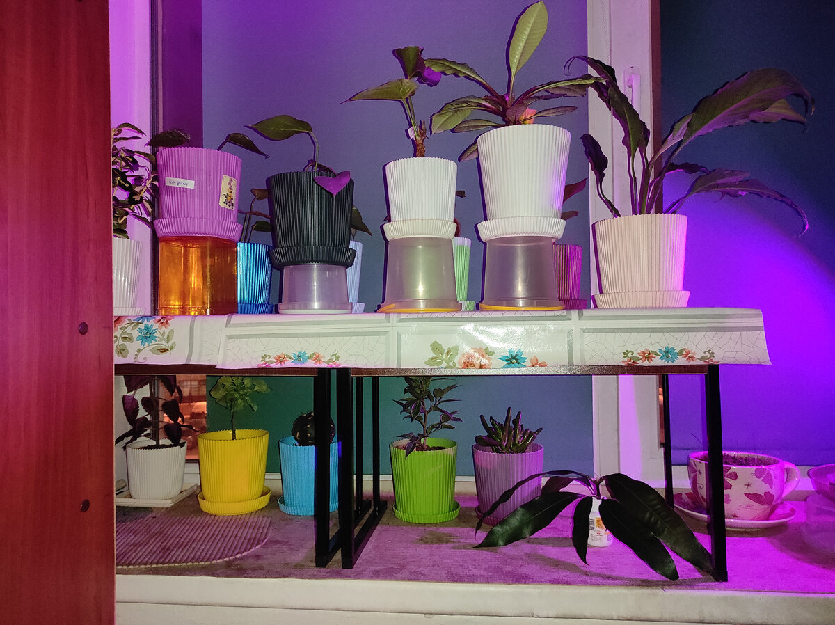 Фото является собственностью автора. Деревянная одноэтажная полка, мини-столик.