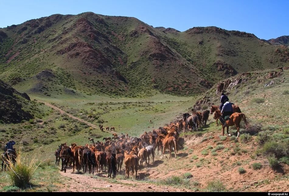 Көшпелі адамдар алайда олар жер өңдейді. Кочевой образ жизни в монголии. Уркун 1916 картина. Кочевой образ жизни. Елим.