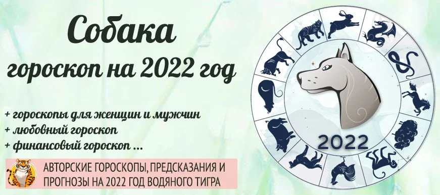 Гороскоп собаки весы. Гороскоп на 2022. Гороскоп на 2022 год. Год собаки гороскоп. Года собаки по гороскопу.