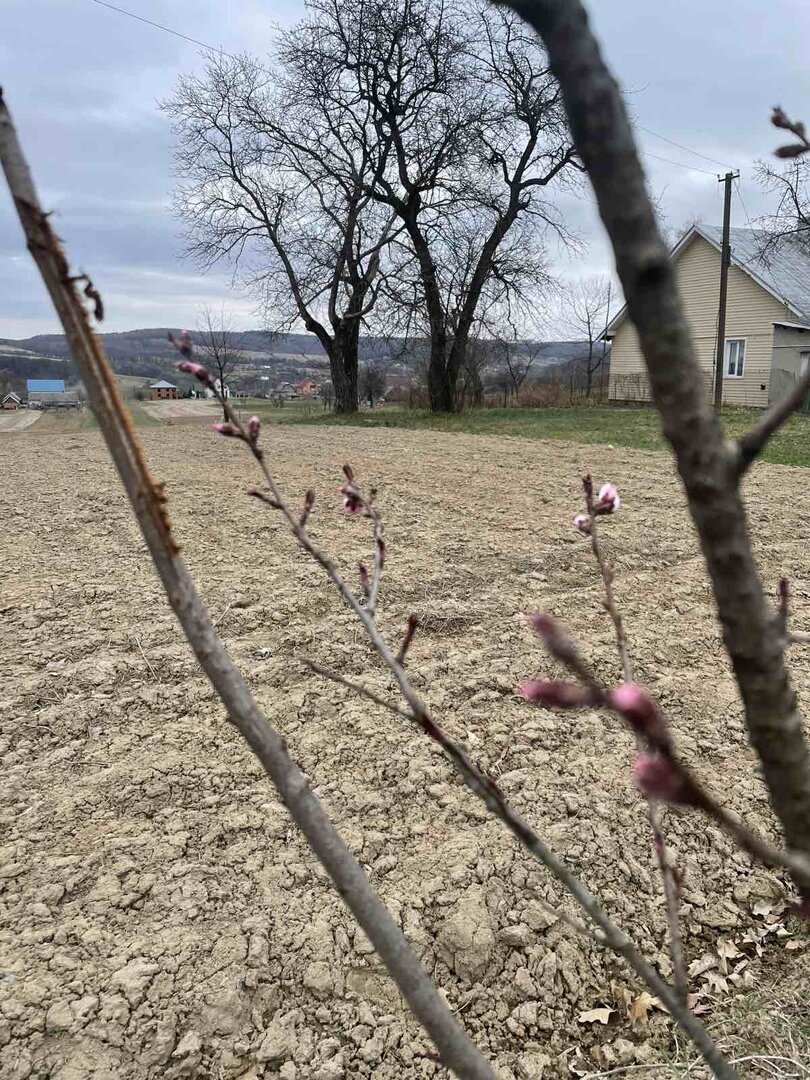 Апрель 2022г.... Весна, время сеять