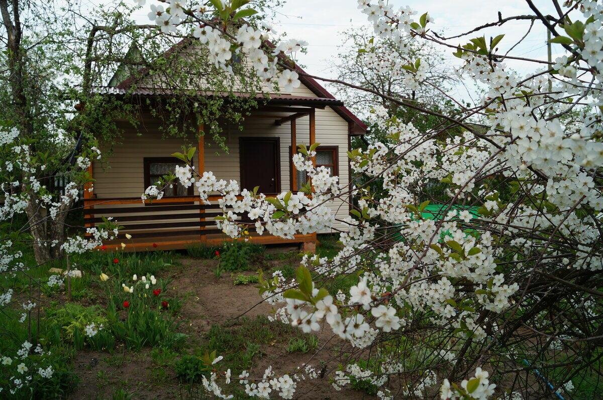 Яндекс. Картинки