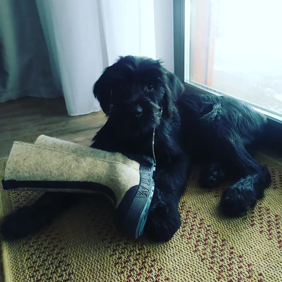 Милый-примилый!