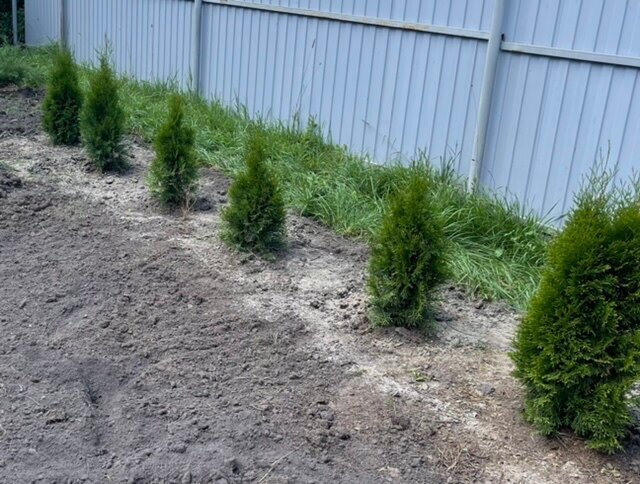 ТУИ ВО ВХОДНОЙ ЗОНЕ