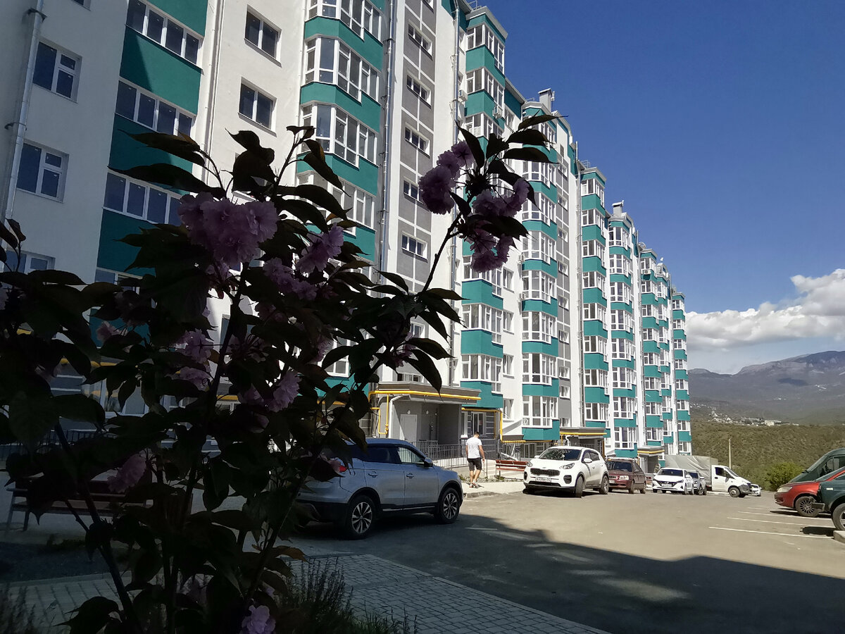 Молодое деревце.