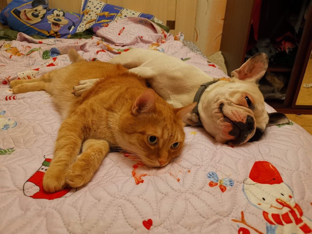 Фото прислали подписчики