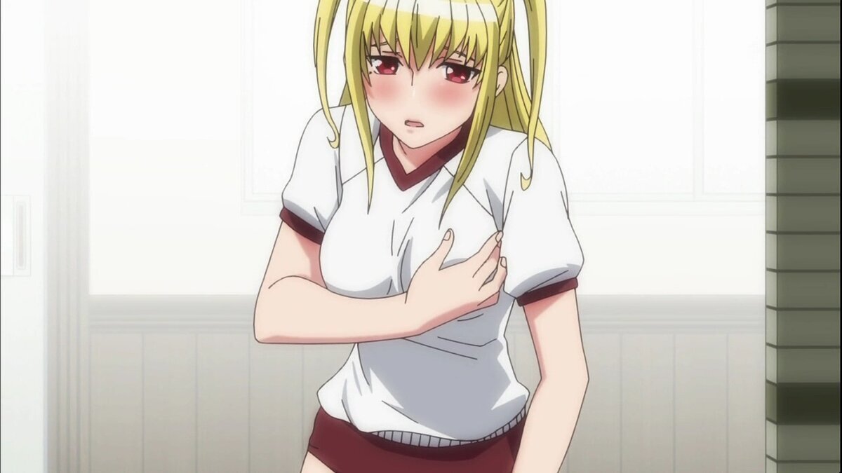 На самом деле, Мария—парень, да, такое немного шокирует, однако сценаристы аниме "Мария Холик" решили разорвать все шаблоны и просто сделали аниме про трансвестита, который притворяется девушкой