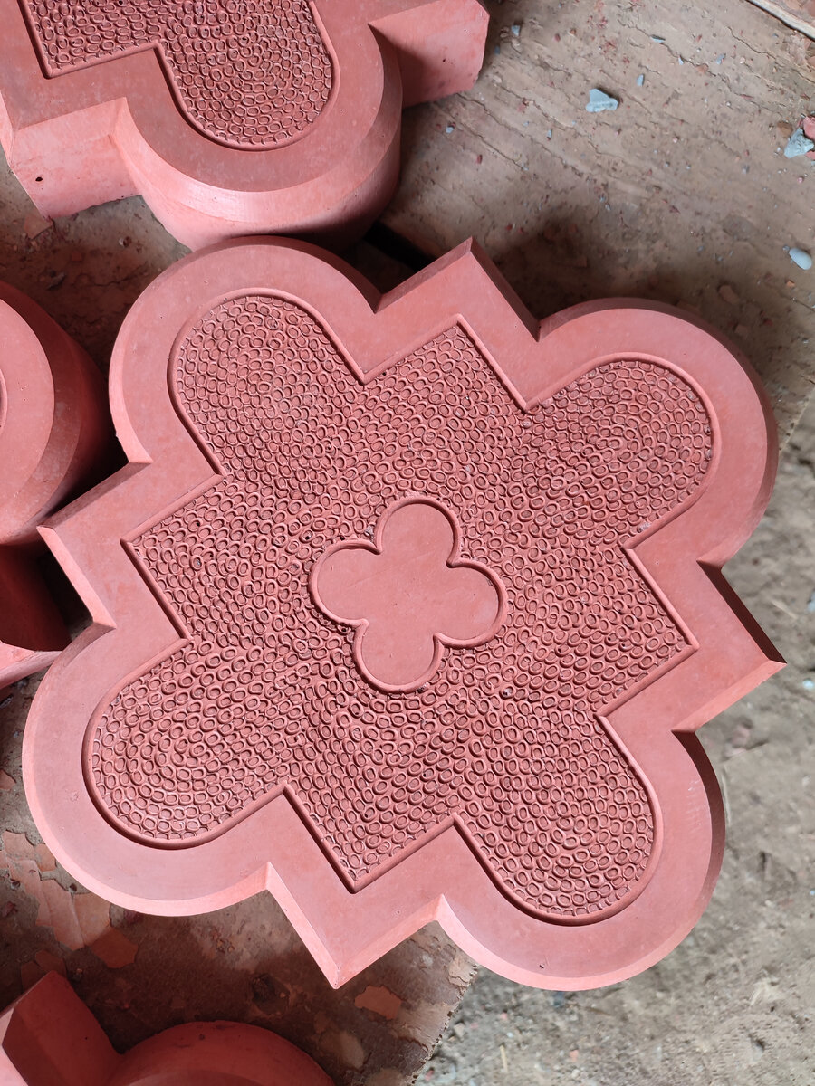 Клевер краковский малая форма. 