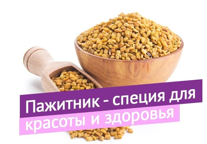Комплекс пажитника и перуанской. Пажитник специя. Пажитник для похудения. Пажитник греческий. Пажитник БАД