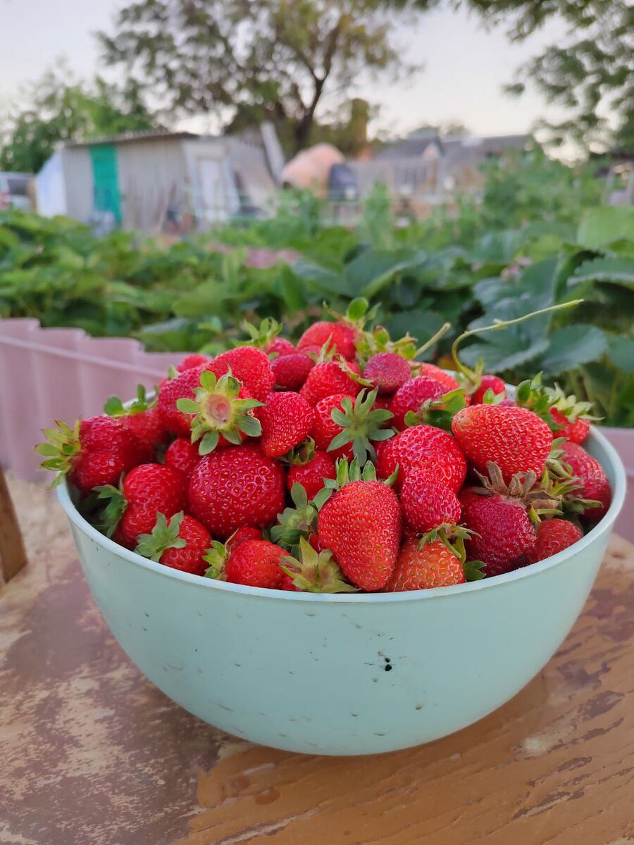 Клубники должно быть много. 😉🍓