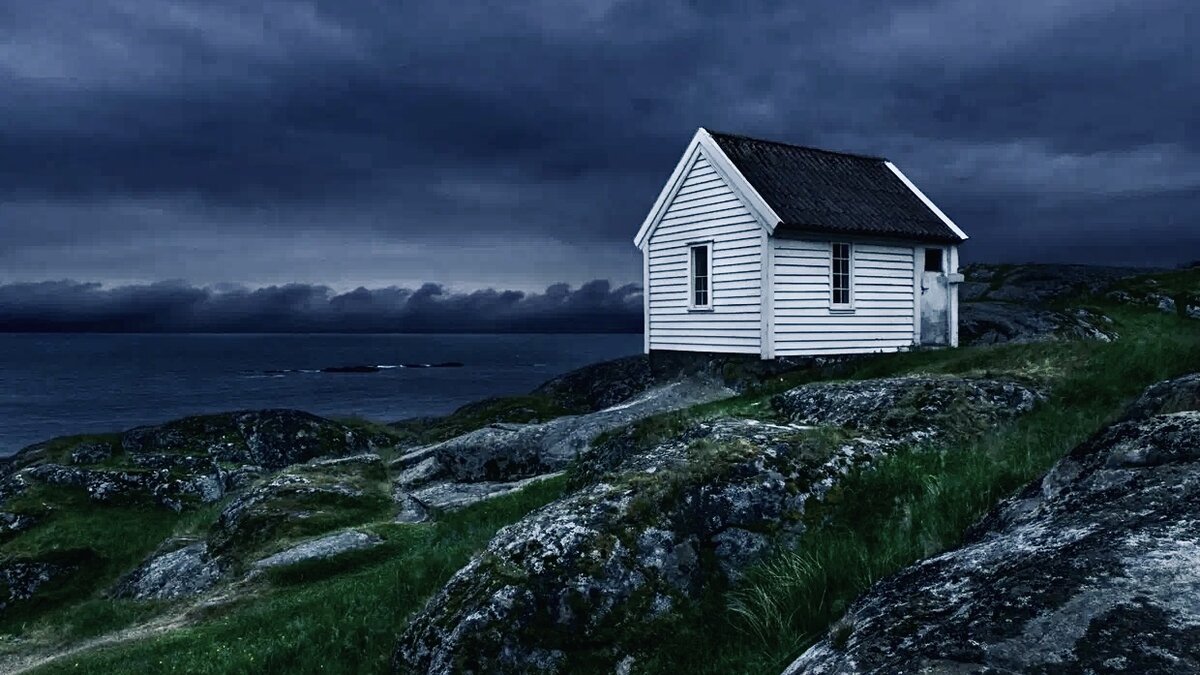 Яндекс Картинки