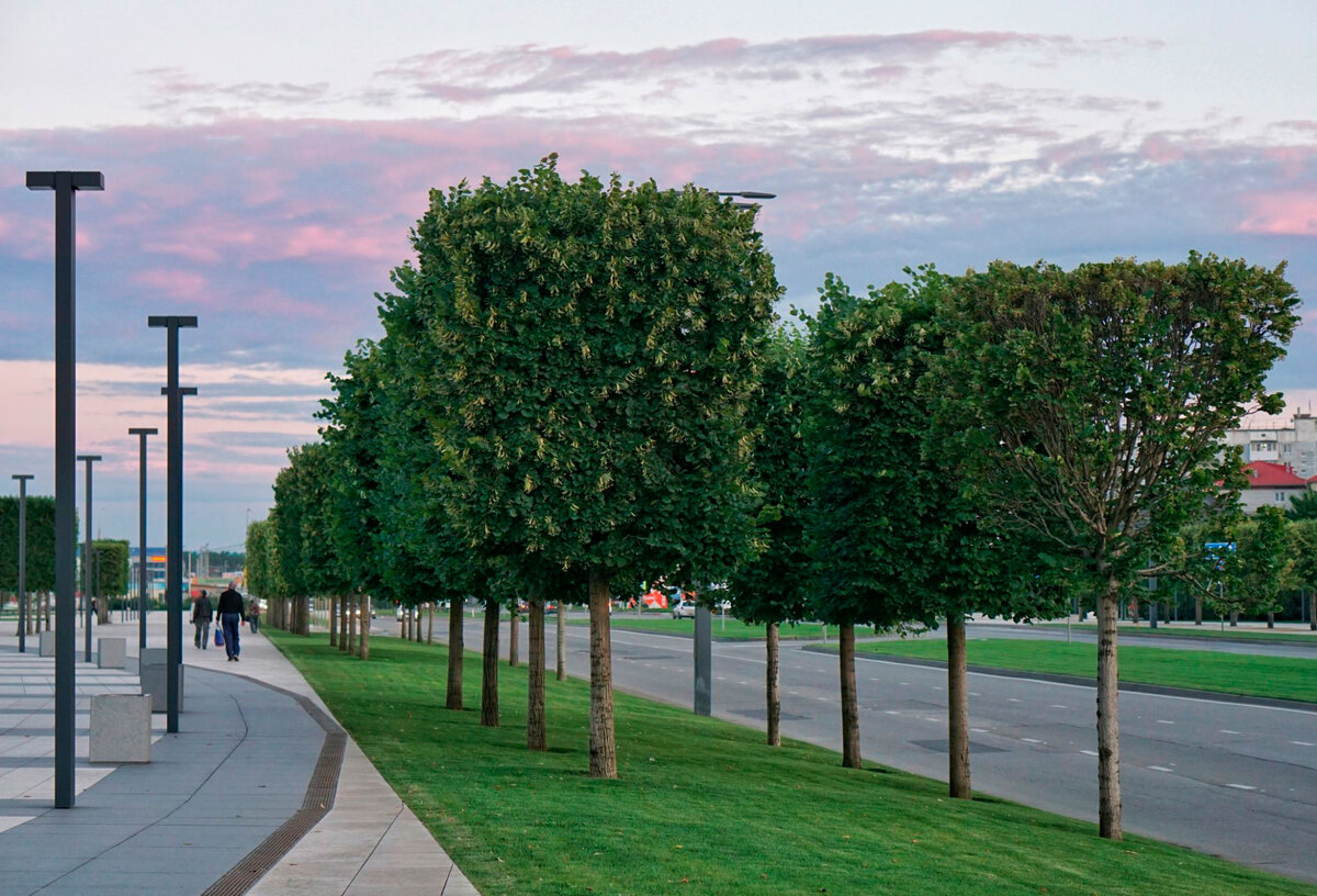 отдых в Краснодаре