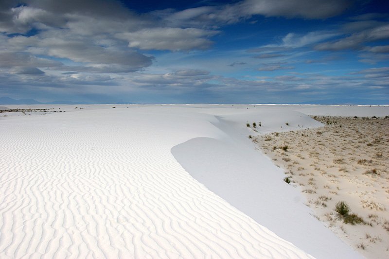 Посмотрев на эту картинку впервые, КАКОЕ название вы бы дали ей? Пишите в комментариях!