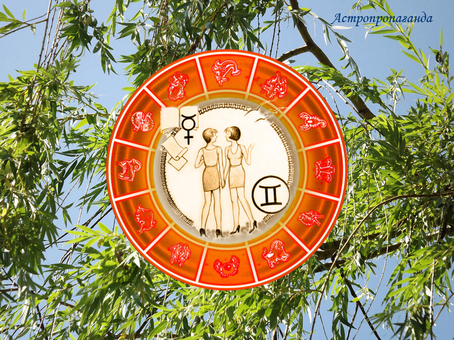 Коллаж Нины Стрелковой. 