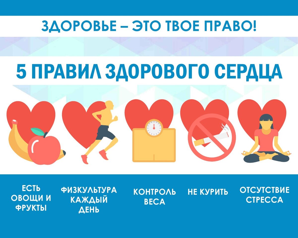 фото источник mobillegends.net