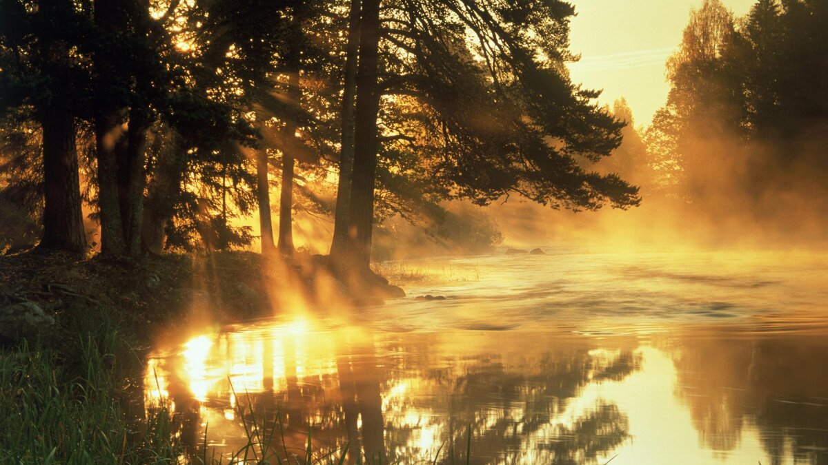 Фото взято из открытого источника коллекции Яндекс картинки.