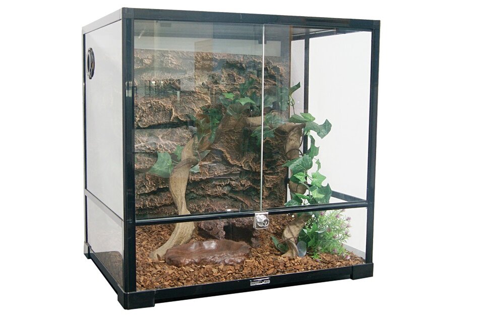 На фото – компактный и безопасный террариум для маиса Repti-Zoo 0107RK, 600х450х450мм (арт. 83635004). Идеально прозрачные стеклянные стенки открывают отличный обзор для наблюдения за змеей.