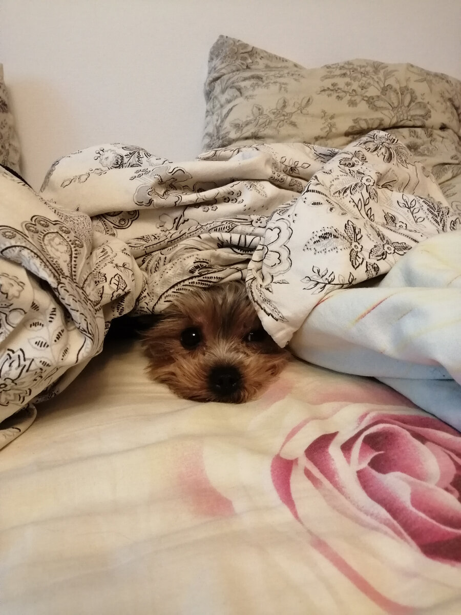 Матильда ждет=) 