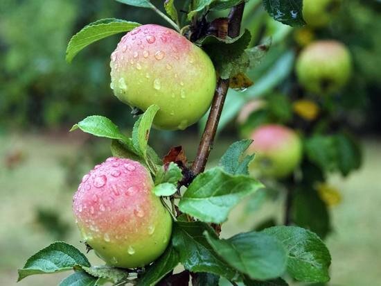     Фото: Jeremy Bezanger/Unsplash.