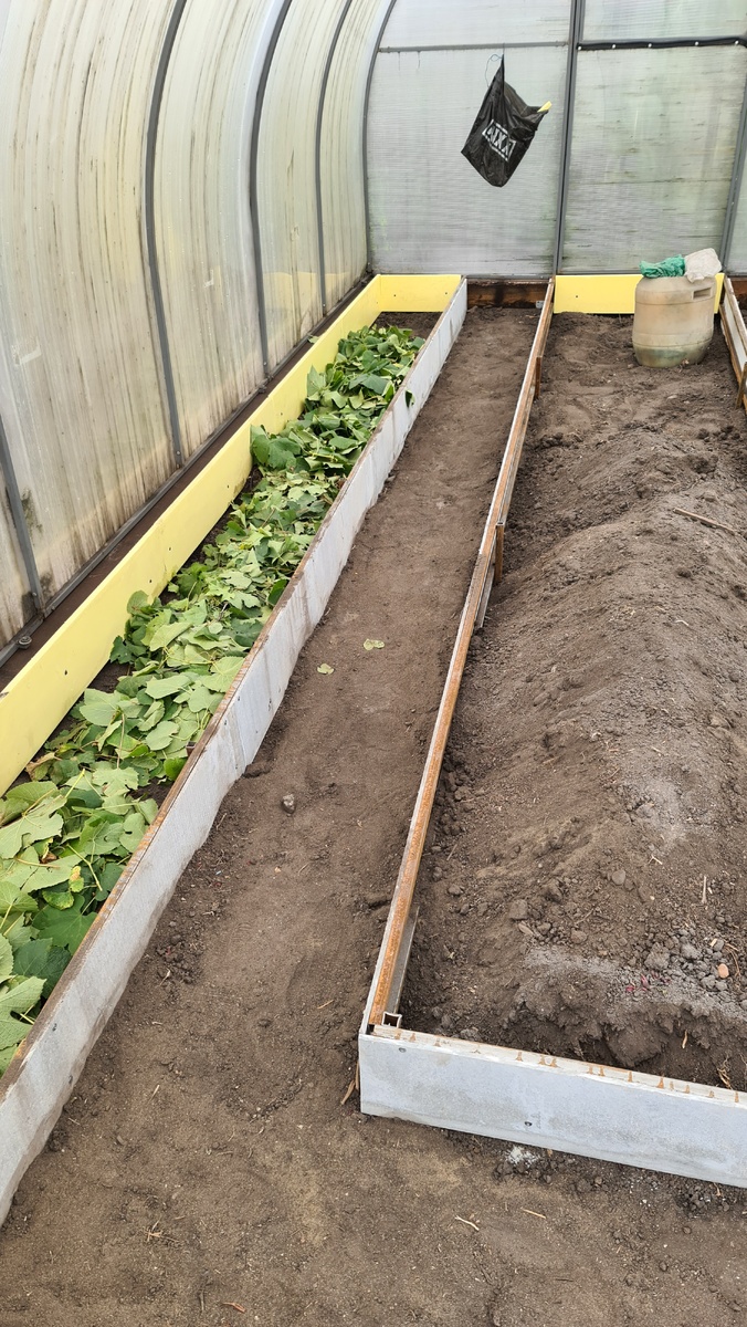 Трава за зиму перегорит и будет хорошее удобрение