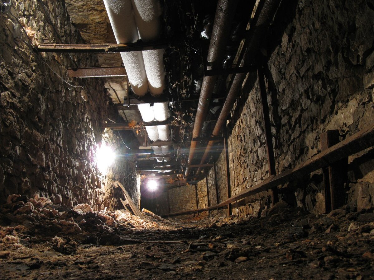 Фото с сайта: https://pp.userapi.com/c633329/v633329904/1ae4c/Ofuz639UA8o.jpg