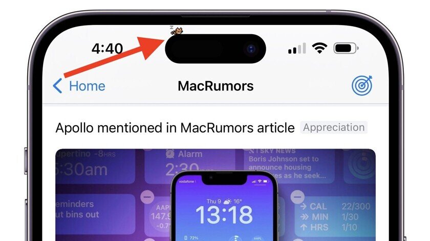    Котенок на острове iPhone 14 Pro. Фото: Macrumors
