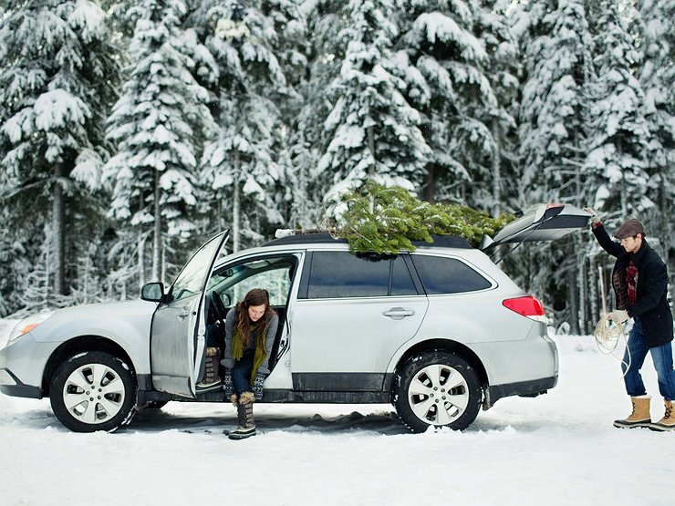     elka Фото www.isaaclanekoval.com