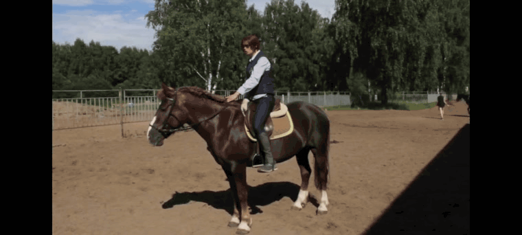 Фрагмент видео взятого из открытого источника